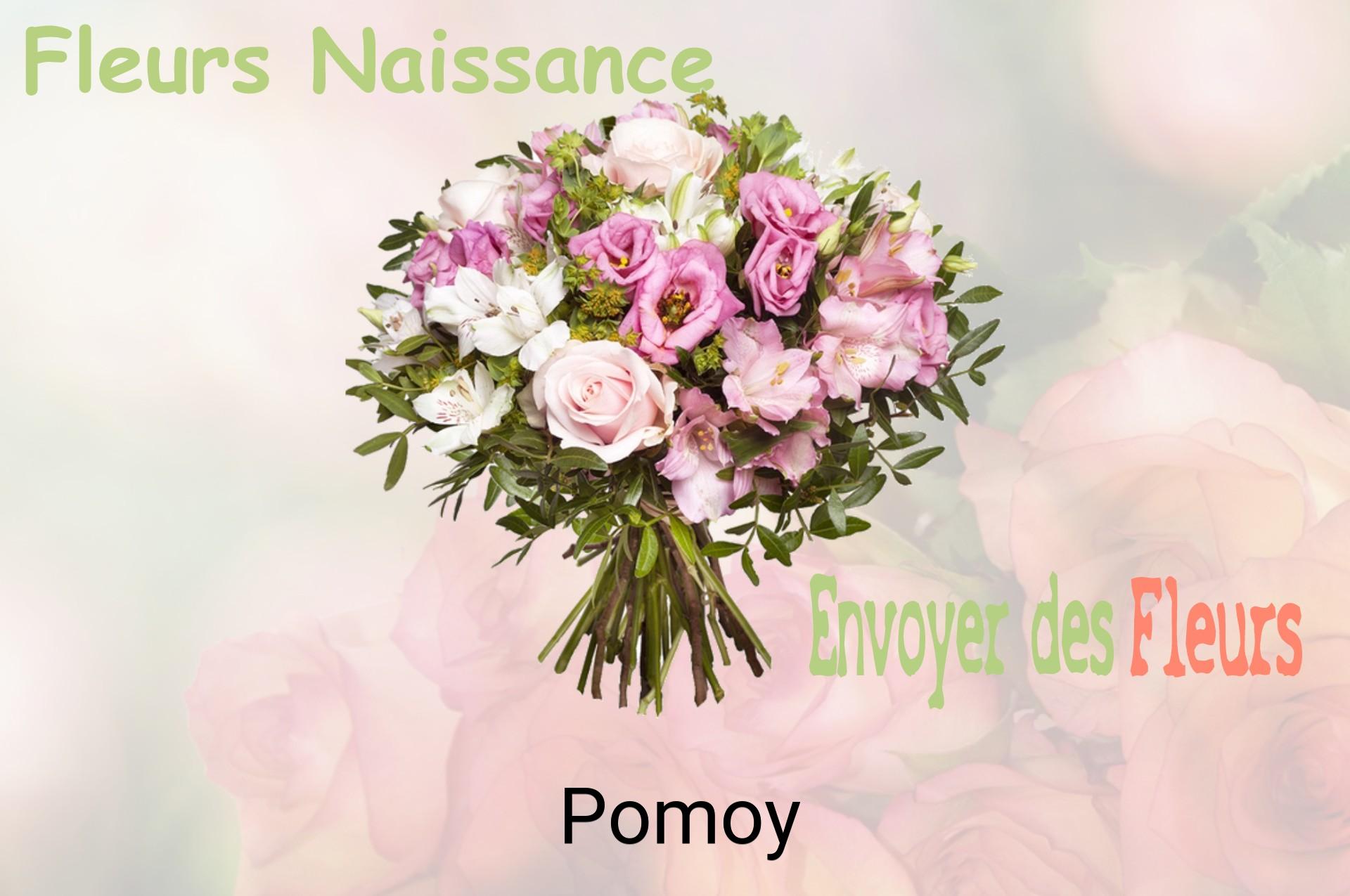 Bouquet de fleurs de naissance livré à Pomoy